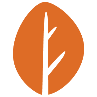quickplaylands.com favicon